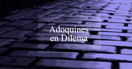 Adoquines-en-Dilema Adoquines en Dilema CALLE DE LA CIUDAD DE SAN JUAN CONTROVERSIAS EN EL VIEJO SAN JUAN