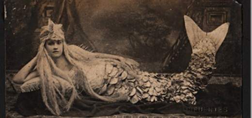 Páginas de un álbum Fotográfico encontrado en la década de los años noventa y que muestra la vida una familia desde principios de siglo hasta los años setenta.