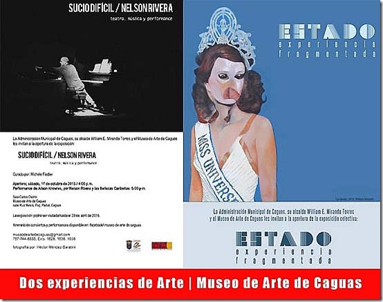 Dos experiencias de Arte-Museo de Arte de Caguas-Autgiro arte actual