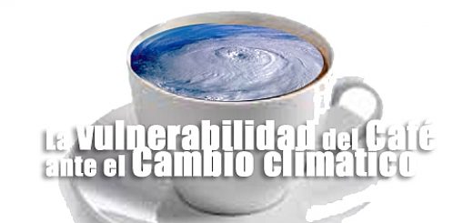 vulnerabilidad Café Cambio climático-cronica urbana