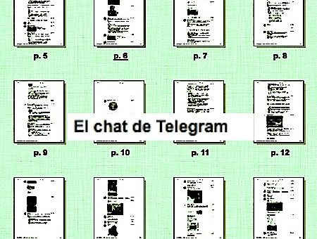 telegram gate ricado rosello controversias
